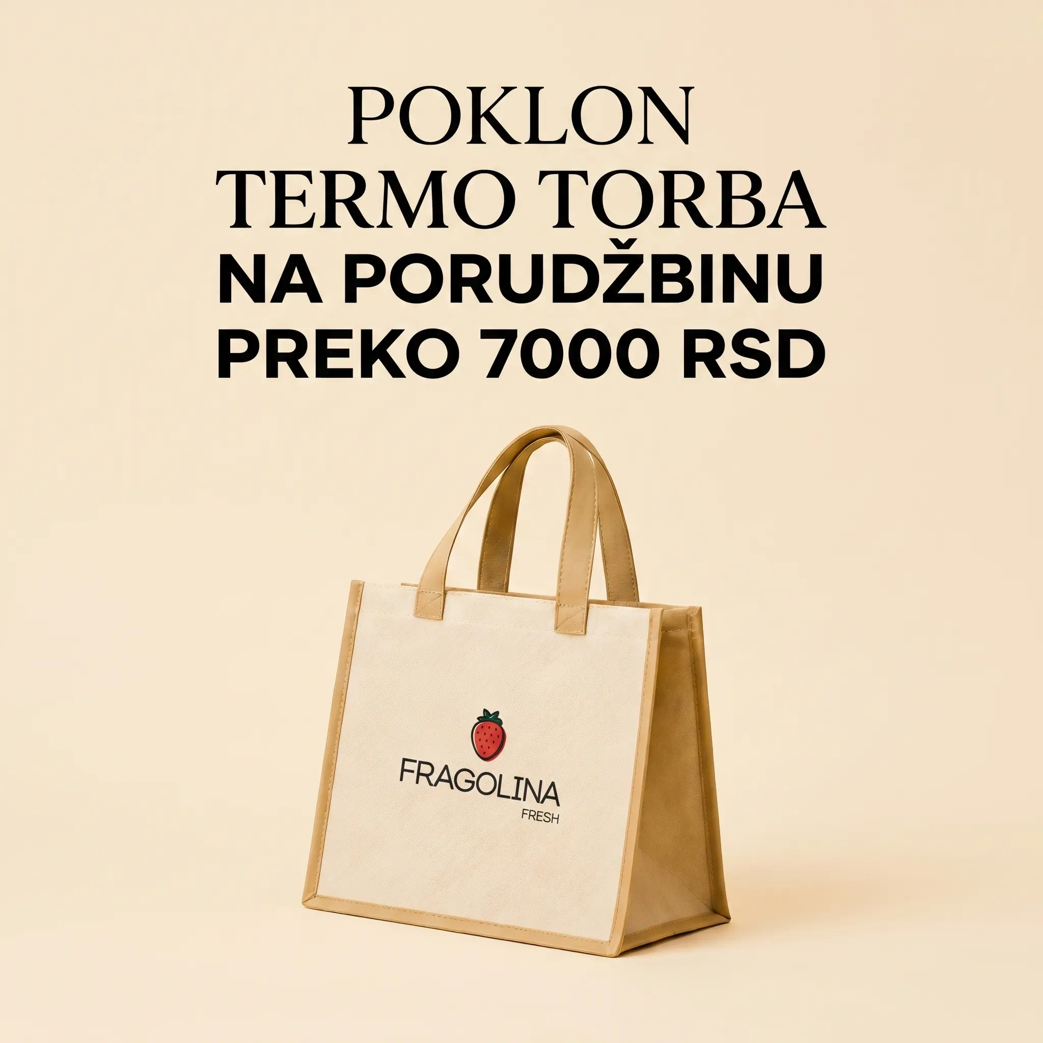 Poklon termo torba